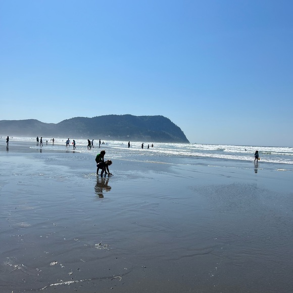 Meet your Posher, Sandra - Picture 1 of 1